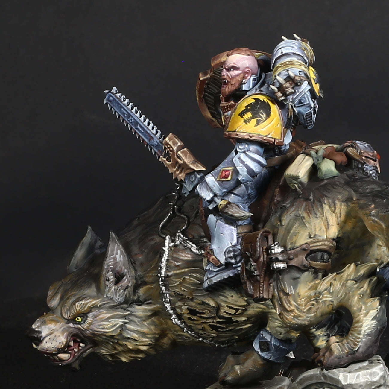 Stormwolf Rider 5 (3D File)